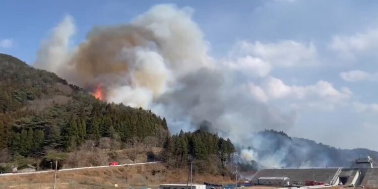 Японию охватили масштабные пожары: горят десятки домов, а людям приходится эвакуироваться