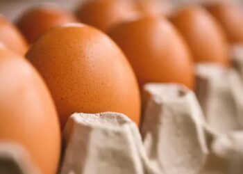 В США из магазина украли 100 тысяч яиц: в полиции не удивились