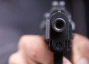 Наркоторговец из Молдовы угрожал полицейским оружием и попытался угнать машину во время задержания