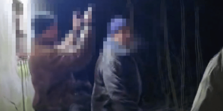 Заповедник стал местом незаконной охоты: задержаны сотрудники и их сообщники