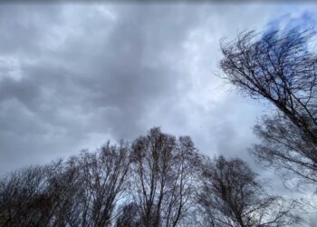 Холодно и без осадков: Какой будет погода 17 февраля