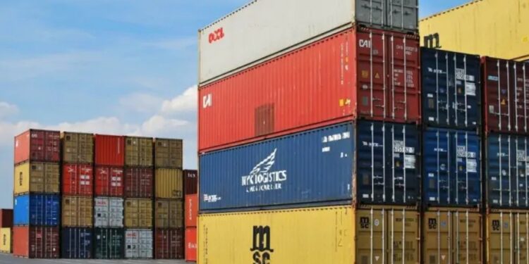 В транспортной компании рабочие открыли контейнер и наткнулись на живую находку: она их шокировала