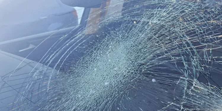 Peștii și alte animale mici, un pericol neobișnuit pentru mașini