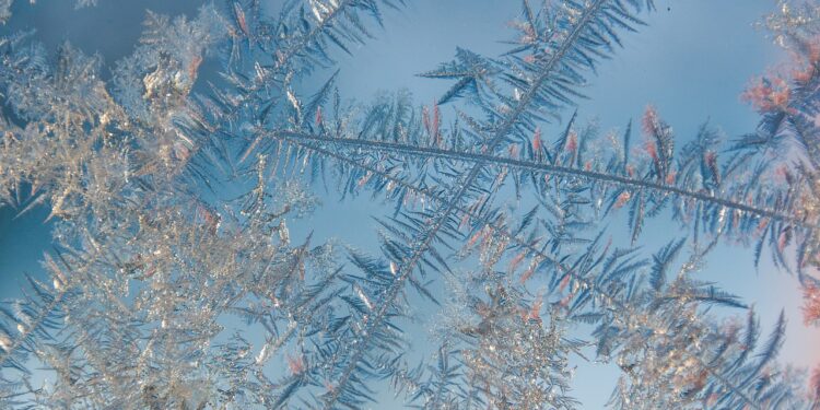 Ясно и морозно — прогноз погоды на 24 февраля