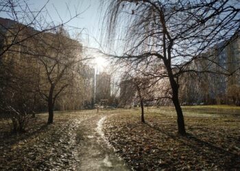 Днём потеплеет — прогноз погоды на 25 февраля