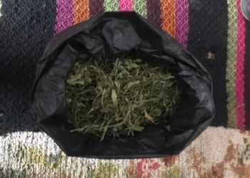 Bărbat din Fălești prins cu droguri: Aproape 0,5 kg confiscate