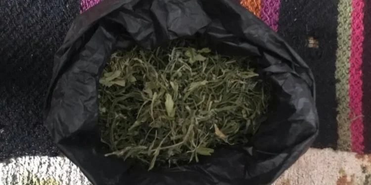 Bărbat din Fălești prins cu droguri: Aproape 0,5 kg confiscate
