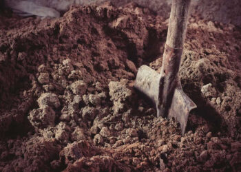 Taximetristul din Călărași, condamnat la 220 de ore de muncă după agresarea soției