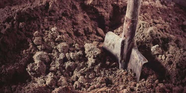 Taximetristul din Călărași, condamnat la 220 de ore de muncă după agresarea soției