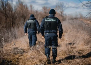 Cum să obții informații despre traversarea frontierei Republicii Moldova prin Linia Verde