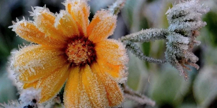 Prognoza meteo pentru 8 februarie