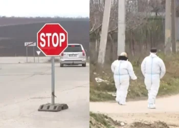 Carantină sanitară impusă în mai multe localități din Moldova din cauza pestei porcine