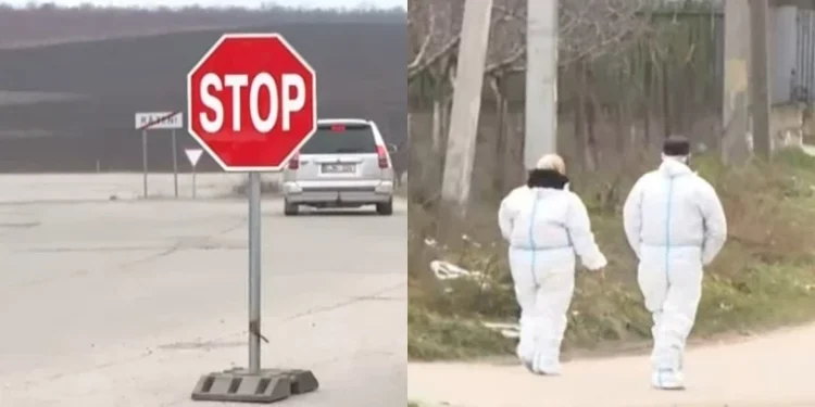 Carantină sanitară impusă în mai multe localități din Moldova din cauza pestei porcine