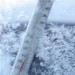 Prognoză meteo: temperaturi scăzute și vânt din nord-vest
