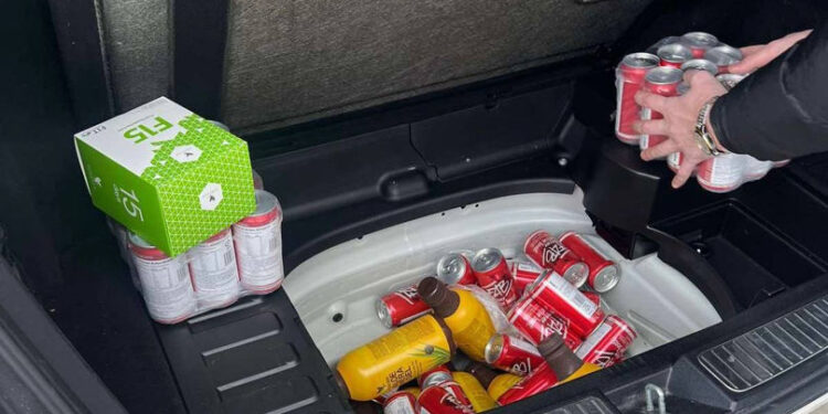 Vama Sculeni confiscă suplimente alimentare nedeclarate într-un autoturism