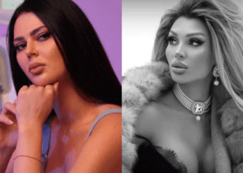 Cazul Babuțchi discutat în Parlament: Proiect pentru un sistem digitalizat de evidență a infracțiunilor