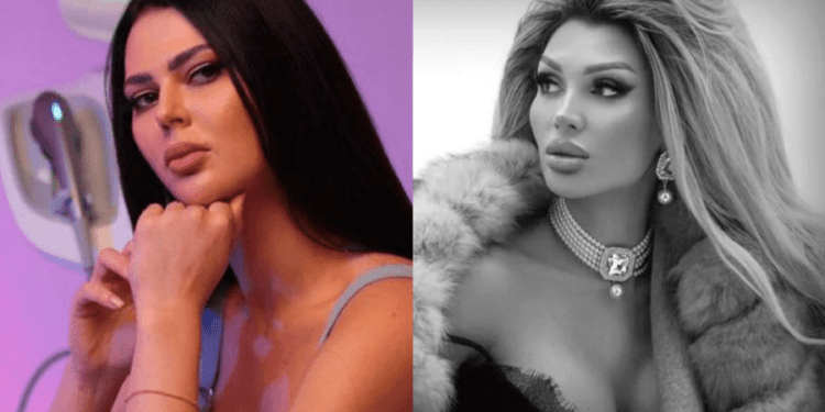 Cazul Babuțchi discutat în Parlament: Proiect pentru un sistem digitalizat de evidență a infracțiunilor