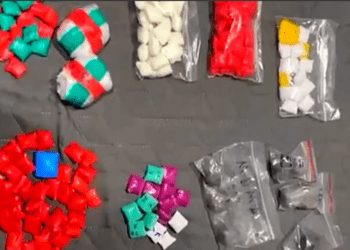 Trafic de droguri de proporții, destructurat de poliție: Confiscare de aproape jumătate de milion de lei