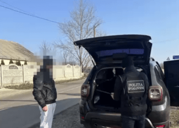 19 percheziții realizate de polițiști și droguri de peste 100.000 de lei confiscate