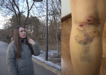 Promisiunile nerespectate ale primarului Ceban: Câinii vagabonzi rămân o problemă nerezolvată