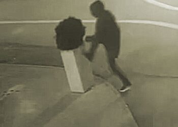 Tânăr din Chișinău a doborât un ghiveci și a încercat să-l repare, fără succes