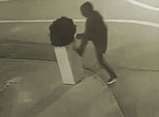 Tânăr din Chișinău a doborât un ghiveci și a încercat să-l repare, fără succes