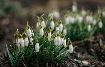 Cum va fi vremea pe 26 februarie: Temperaturile ajung la 10°C ziua, iar noaptea coboară sub -10°C