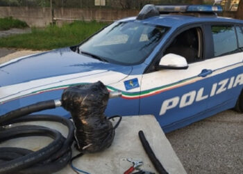 Doi moldoveni prinși încercând să fure motorină dintr-un camion”