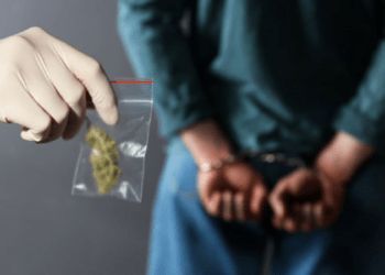 Dealerul grațiat de Maia Sandu, prins cu droguri în valoare de 300 de mii de lei pe Telegram