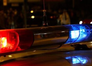 Tragedie în Cricova: Bărbat de 75 de ani a murit după ce a căzut din copac