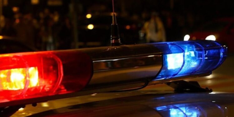 Tragedie în Cricova: Bărbat de 75 de ani a murit după ce a căzut din copac