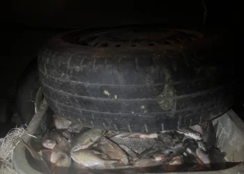 Pește transportat ilegal: Patru moldoveni opriți la intrarea în satul Palanca