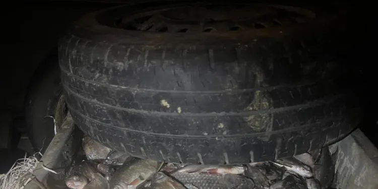 Pește transportat ilegal: Patru moldoveni opriți la intrarea în satul Palanca