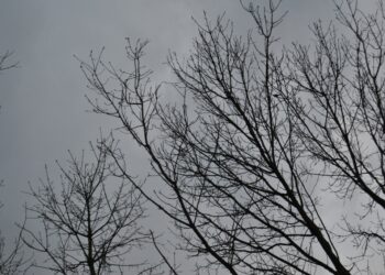 Vreme stabilă și fără precipitații în Republica Moldova: Prognoza pentru următoarele zile