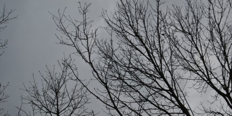 Vreme stabilă și fără precipitații în Republica Moldova: Prognoza pentru următoarele zile