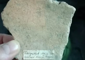 Femeie arestată în Iași pentru trafic de obiecte arheologice dacice