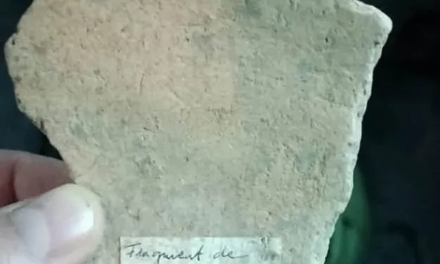 Femeie arestată în Iași pentru trafic de obiecte arheologice dacice