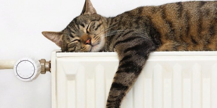 Сильный ветер и значительное похолодание: Какой будет погода 18 марта