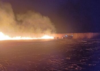 В Кагуле специалисты восемь часов боролись с загоревшейся растительностью