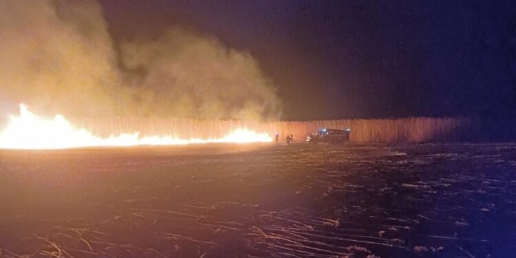 В Кагуле специалисты восемь часов боролись с загоревшейся растительностью