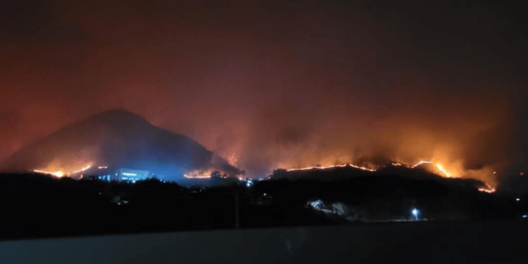 Лесные пожары унесли жизни четверых человек в Южной Корее