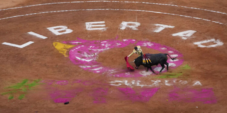 В Мехико запретили «кровавую» корриду