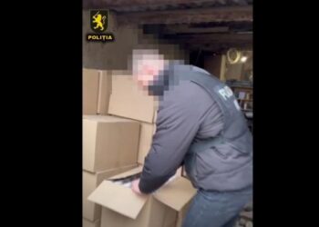 Правоохранительные органы обнаружили у жителя Кишинева полмиллиона контрабандных сигарет