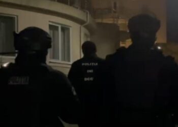 В Молдове задержана преступная группа, занимавшаяся контрабандой автомобилей