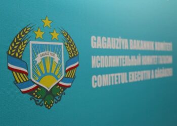 Обращение членов Исполнительного комитета к депутатам Народного собрания Гагаузии