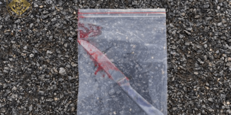 Мужчина из Единец проведет 15 лет в тюрьме за покушение на убийство