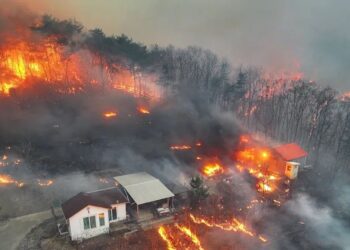 В Южной Корее во время сильнейших лесных пожаров погибли как минимум 26 человек