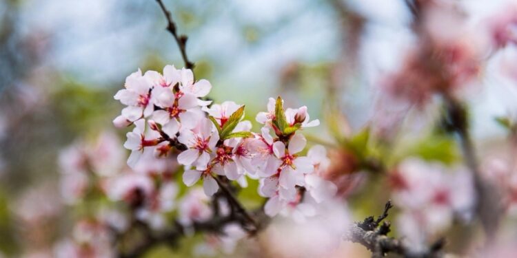 Синоптики рассказали, какой будет погода в последний день марта