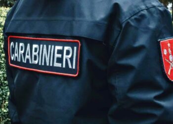 Карабинеры задержали трех подозреваемых. За что их разыскивали