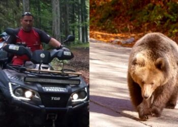 На горнолыжном курорте в Румынии медведь напал на мужчину: пострадавший находится в тяжелом состоянии